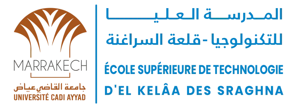 Logo ESTK